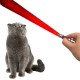 BUFFER® 3 Fonksiyonlu Kırmızı Beyaz Işıklı Led Lazer Kedi Köpek Oyuncak Anahtarlık BUFFER® 3 Fonksiyonlu Kırmızı Beyaz Işıklı Led Lazer Kedi Köpek Oyuncak Anahtarlık