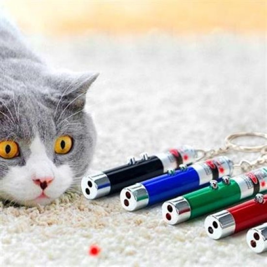 BUFFER® 3 Fonksiyonlu Kırmızı Beyaz Işıklı Led Lazer Kedi Köpek Oyuncak Anahtarlık BUFFER® 3 Fonksiyonlu Kırmızı Beyaz Işıklı Led Lazer Kedi Köpek Oyuncak Anahtarlık
