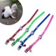 BUFFER® Çıngıraklı Zilli Sevimli Renkli Slikon Kedi Köpek Boyun Tasması BUFFER® Çıngıraklı Zilli Sevimli Renkli Slikon Kedi Köpek Boyun Tasması