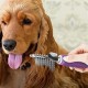 BUFFER® Düğüm Açıcı Pet Fırçası Emniyetli Uzun ve Çelik Dişli Kedi Köpek Tüy Kıtık Açma Tarağı BUFFER® Düğüm Açıcı Pet Fırçası Emniyetli Uzun ve Çelik Dişli Kedi Köpek Tüy Kıtık Açma Tarağı