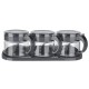 BUFFER® Gri 3lü Standlı Kapaklı Kaşıklı Cam Hava Sızdırmaz Baharatlık Takımı KC-386 BUFFER® Gri 3lü Standlı Kapaklı Kaşıklı Cam Hava Sızdırmaz Baharatlık Takımı KC-386