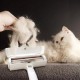 BUFFER® Hazneli Kedi Köpek Evcil Hayvan Kazak Kıyafet Elbise Halı Yatak Tüy Temizleyici Kıl Toz Top BUFFER® Hazneli Kedi Köpek Evcil Hayvan Kazak Kıyafet Elbise Halı Yatak Tüy Temizleyici Kıl Toz Top