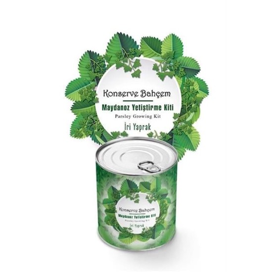 BUFFER® Konserve Bahçem Evde Konservede İri Maydanoz Yetiştirme Kiti BUFFER® Konserve Bahçem Evde Konservede İri Maydanoz Yetiştirme Kiti