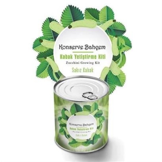 BUFFER® Konserve Bahçem Evde Konservede Sakız Kabak Yetiştirme Kiti BUFFER® Konserve Bahçem Evde Konservede Sakız Kabak Yetiştirme Kiti