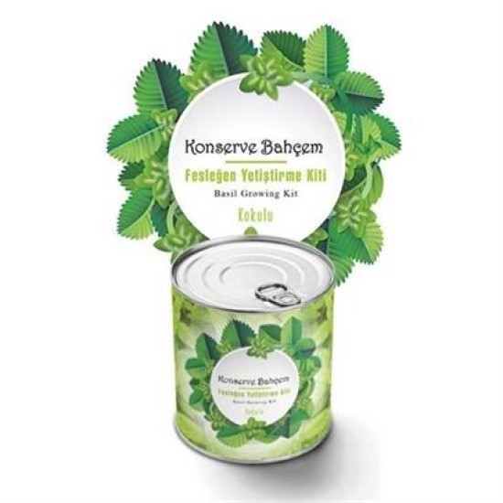 BUFFER® Konserve Bahçem Evde Konservede Kokulu Fesleğen Yetiştirme Kiti BUFFER® Konserve Bahçem Evde Konservede Kokulu Fesleğen Yetiştirme Kiti