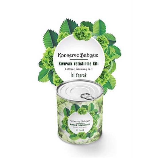BUFFER® Konserve Bahçem Evde Konservede İri Yapraklı Kıvırcık Yetiştirme Kiti BUFFER® Konserve Bahçem Evde Konservede İri Yapraklı Kıvırcık Yetiştirme Kiti