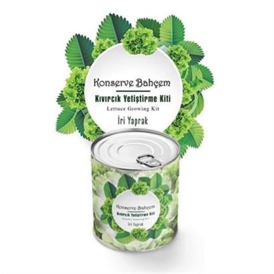 BUFFER® Konserve Bahçem Evde Konservede İri Yapraklı Kıvırcık Yetiştirme Kiti BUFFER® Konserve Bahçem Evde Konservede İri Yapraklı Kıvırcık Yetiştirme Kiti