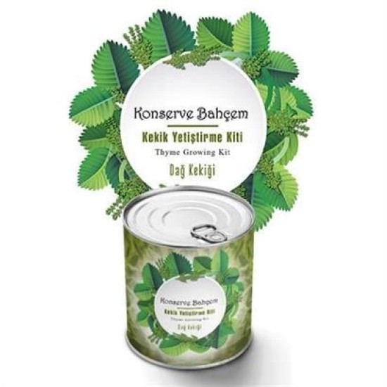 BUFFER® Konserve Bahçem Evde Konservede Kekik Dağ Kekiği Yetiştirme Kiti BUFFER® Konserve Bahçem Evde Konservede Kekik Dağ Kekiği Yetiştirme Kiti