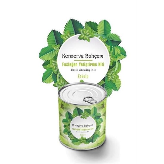 BUFFER® Konserve Bahçem Evde Konservede Kokulu Fesleğen Yetiştirme Kiti BUFFER® Konserve Bahçem Evde Konservede Kokulu Fesleğen Yetiştirme Kiti