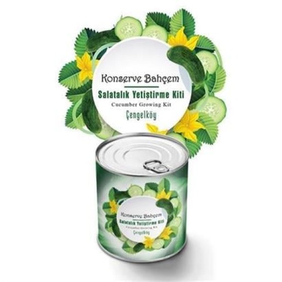 BUFFER® Konserve Bahçem Konservede Çengelköy Salatalık Yetiştirme Kiti BUFFER® Konserve Bahçem Konservede Çengelköy Salatalık Yetiştirme Kiti