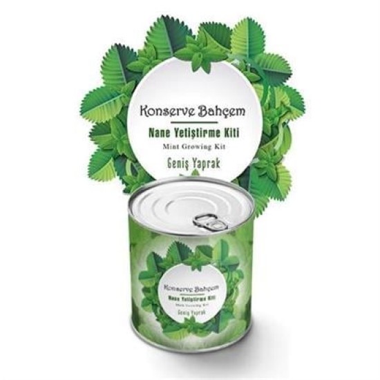 BUFFER® Konserve Bahçem Nane Yetiştirme Kiti BUFFER® Konserve Bahçem Nane Yetiştirme Kiti