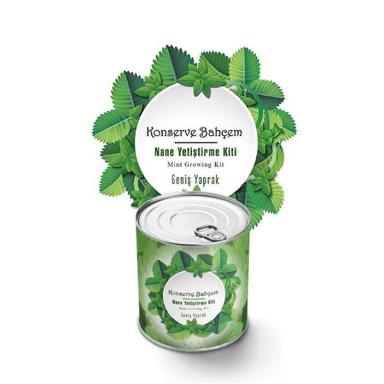 BUFFER® Konserve Bahçem Nane Yetiştirme Kiti BUFFER® Konserve Bahçem Nane Yetiştirme Kiti