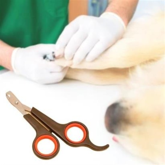 Buffer Küçük Çelik Uçlu Kedi Köpek Evcil Hayvan Tırnak Makası Pati Bakım Aleti Ergonomik Kaymaz Sap Buffer Küçük Çelik Uçlu Kedi Köpek Evcil Hayvan Tırnak Makası Pati Bakım Aleti Ergonomik Kaymaz Sap