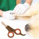 Buffer Küçük Çelik Uçlu Kedi Köpek Evcil Hayvan Tırnak Makası Pati Bakım Aleti Ergonomik Kaymaz Sap Buffer Küçük Çelik Uçlu Kedi Köpek Evcil Hayvan Tırnak Makası Pati Bakım Aleti Ergonomik Kaymaz Sap