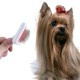 BUFFER® Paslanmaz Evcil Hayvan Kedi Köpek Tüy Tarama Toplama Fırçası Kolay Temizlenir Bakım Aleti BUFFER® Paslanmaz Evcil Hayvan Kedi Köpek Tüy Tarama Toplama Fırçası Kolay Temizlenir Bakım Aleti