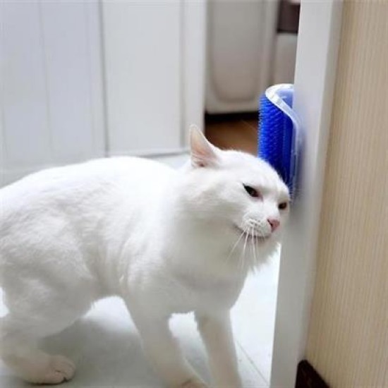 BUFFER® Pratik Kedi Tüyü Kaşıma Ve Tarama Aparatı Duvara Monte Kaşıma Aleti BUFFER® Pratik Kedi Tüyü Kaşıma Ve Tarama Aparatı Duvara Monte Kaşıma Aleti