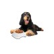 BUFFER® Silikon Kaydırmaz Taban Plastik Kedi ve Köpek Mama ve Su Kabı 2 L BUFFER® Silikon Kaydırmaz Taban Plastik Kedi ve Köpek Mama ve Su Kabı 2 L