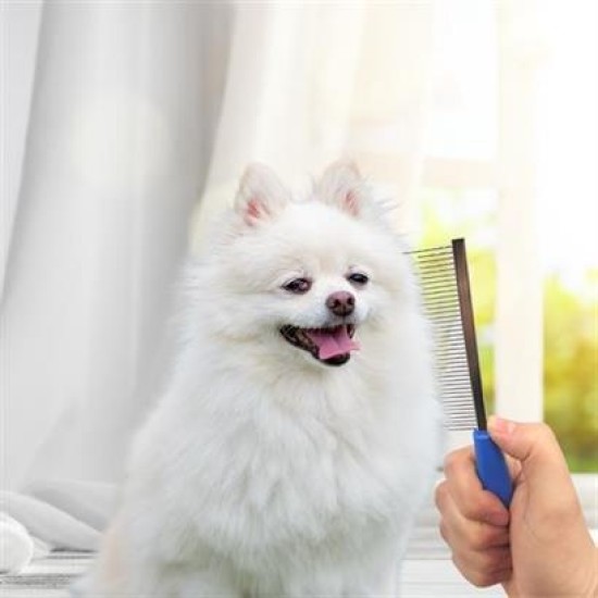 BUFFER® Tüy Açıcı Kedi Köpek Tarağı Tek Taraflı Metal Dişli Evcil Hayvan Bakım Fırçası BUFFER® Tüy Açıcı Kedi Köpek Tarağı Tek Taraflı Metal Dişli Evcil Hayvan Bakım Fırçası