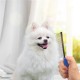 BUFFER® Tüy Açıcı Kedi Köpek Tarağı Tek Taraflı Metal Dişli Evcil Hayvan Bakım Fırçası BUFFER® Tüy Açıcı Kedi Köpek Tarağı Tek Taraflı Metal Dişli Evcil Hayvan Bakım Fırçası