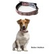 BUFFER® Yumuşak Dokulu Deri Köpek Gezdirme Boyun Tasması Medium BUFFER® Yumuşak Dokulu Deri Köpek Gezdirme Boyun Tasması Medium